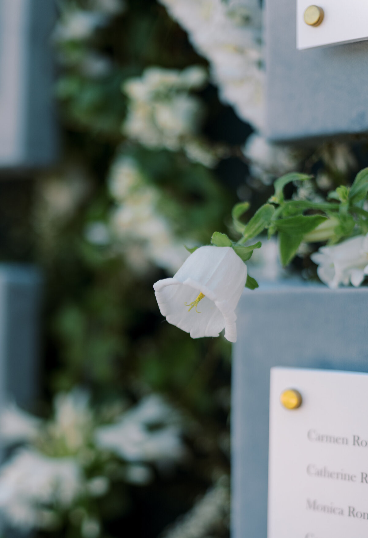 Dallas Wedding Photographer-120