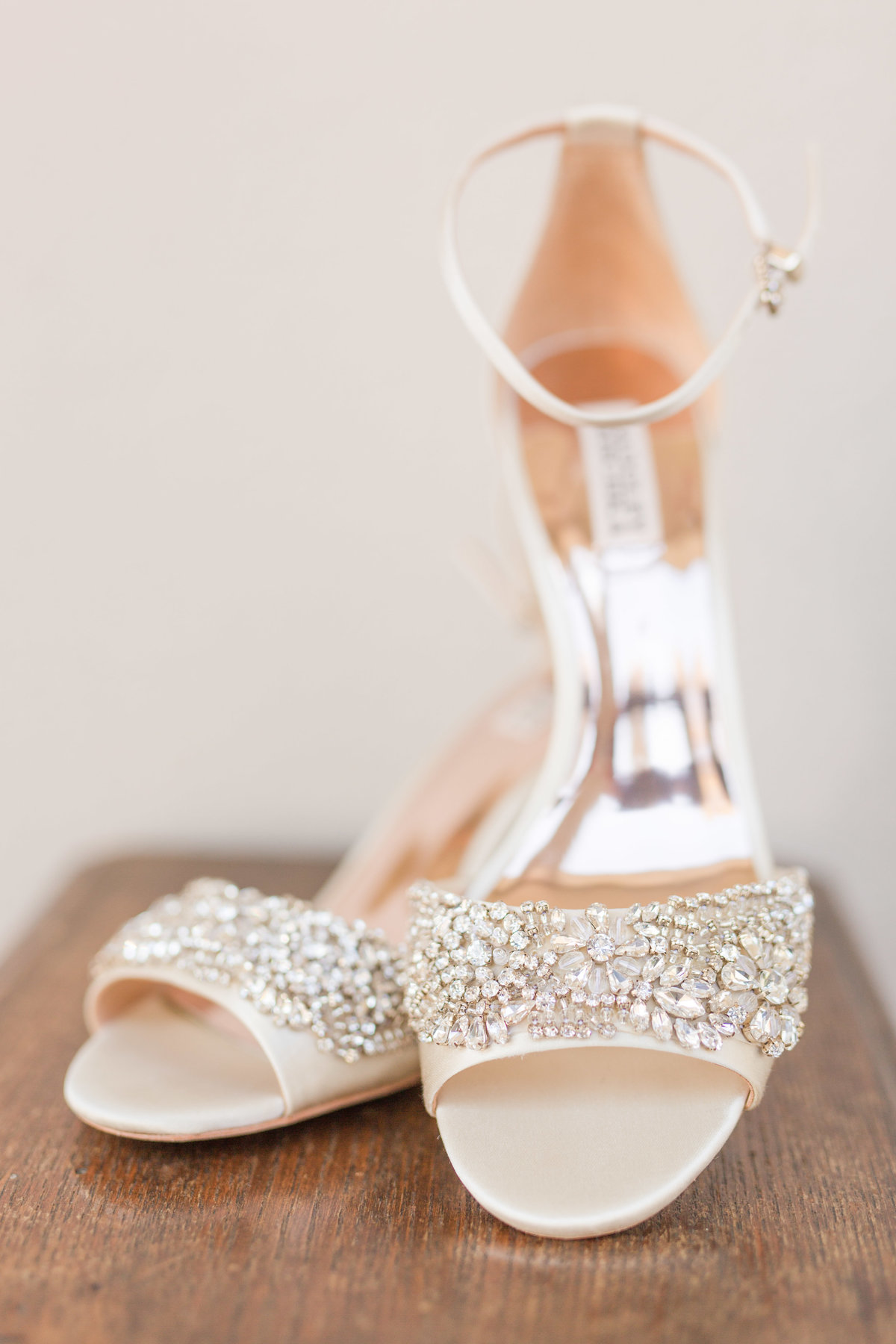Memphis Wedding Photographer Botanic Garden_004