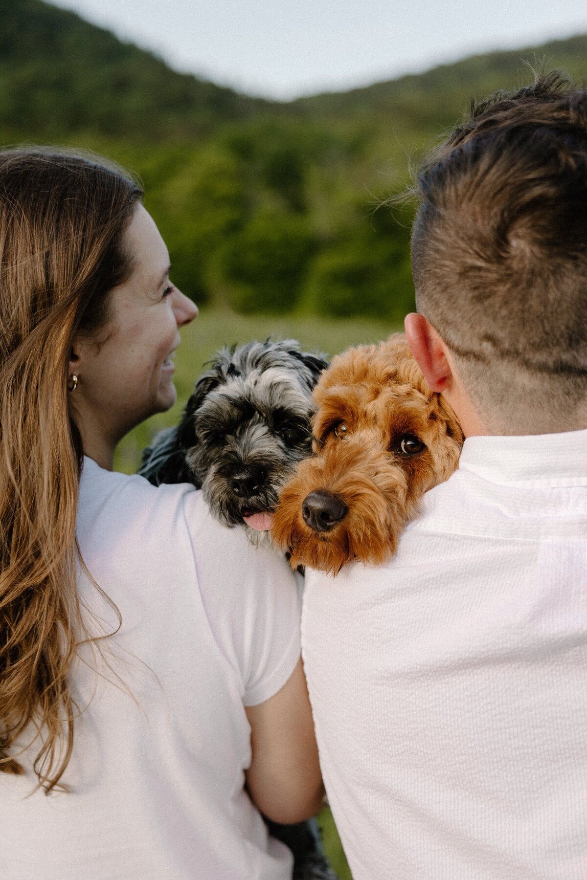 dogs looking over couple's shoulders