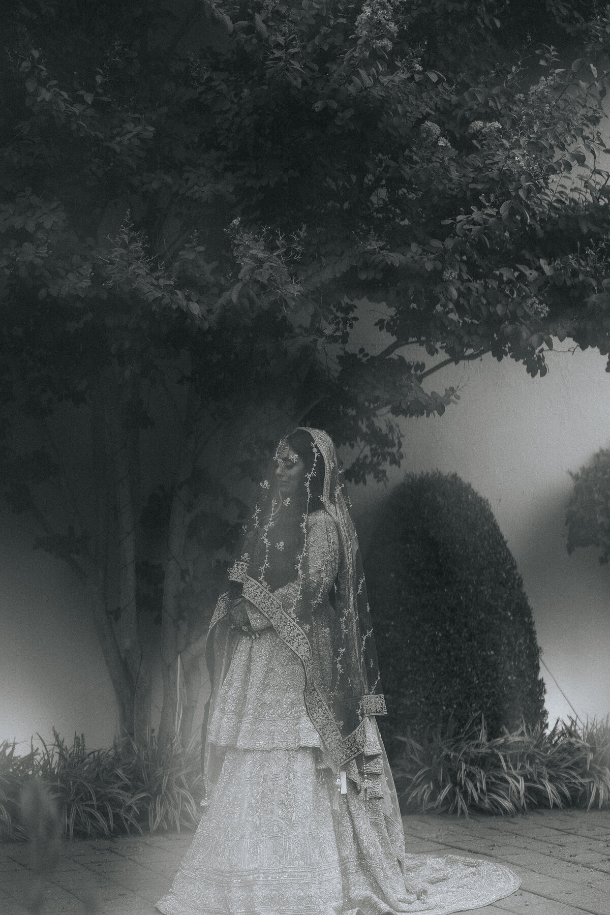 DSC04503