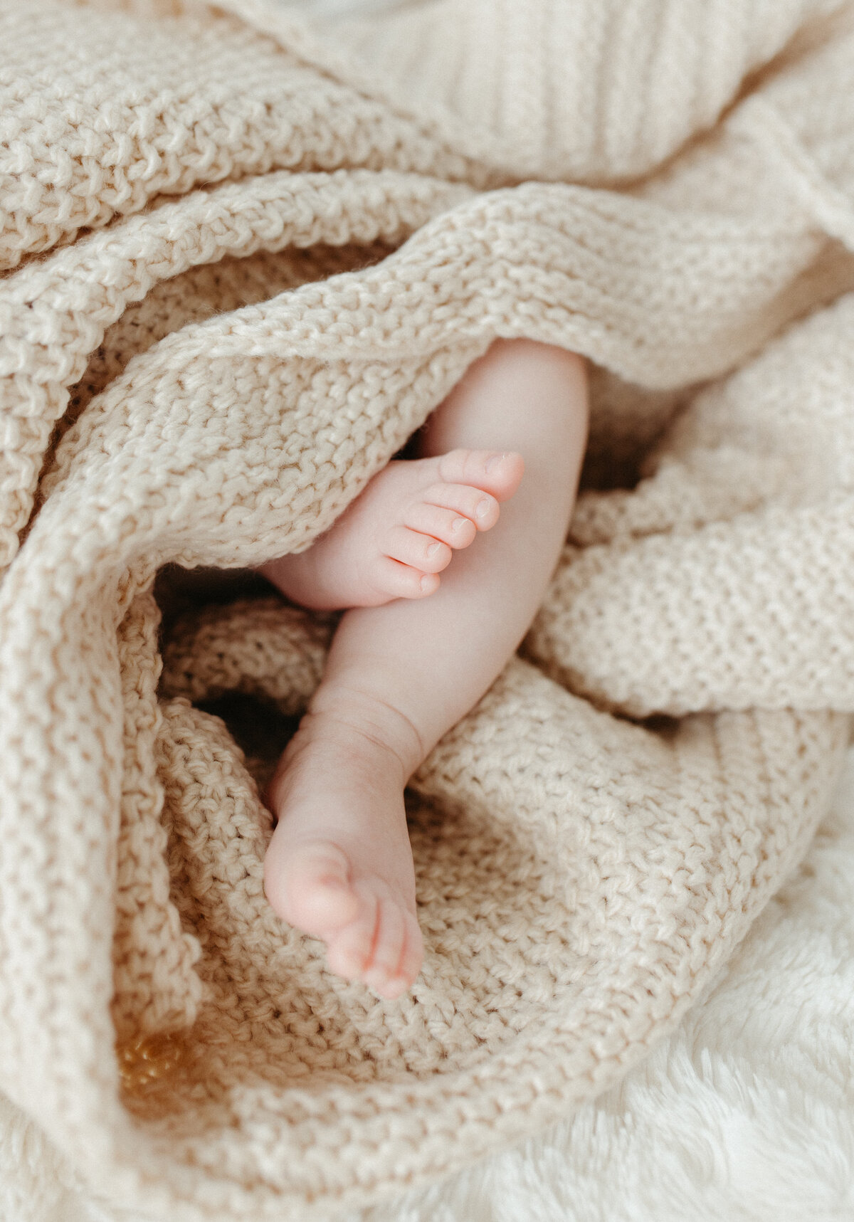 SAMANTHA HOLLI CREATIVE-214