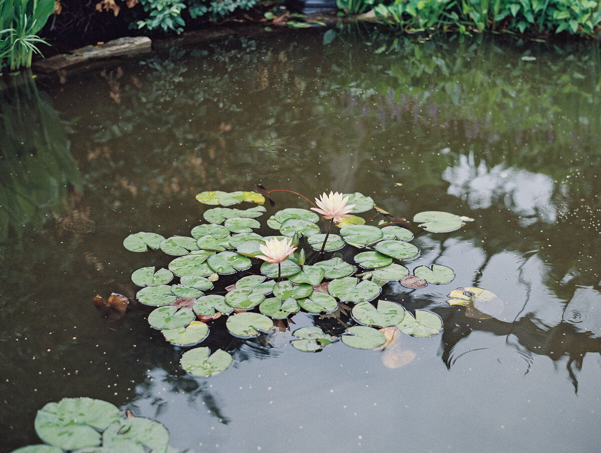 dallas-arboretum-wedding-jen-symes-60