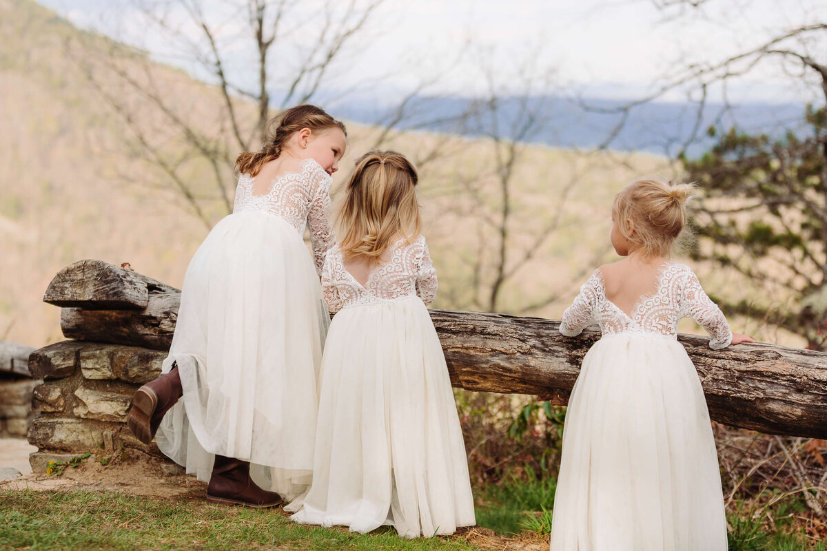 Wiseman's-View-NC-Elopement-34