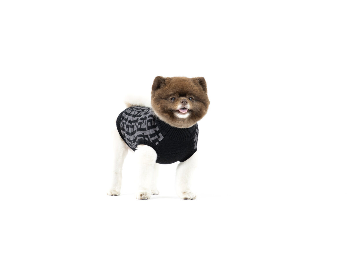 pet industry photographer 3