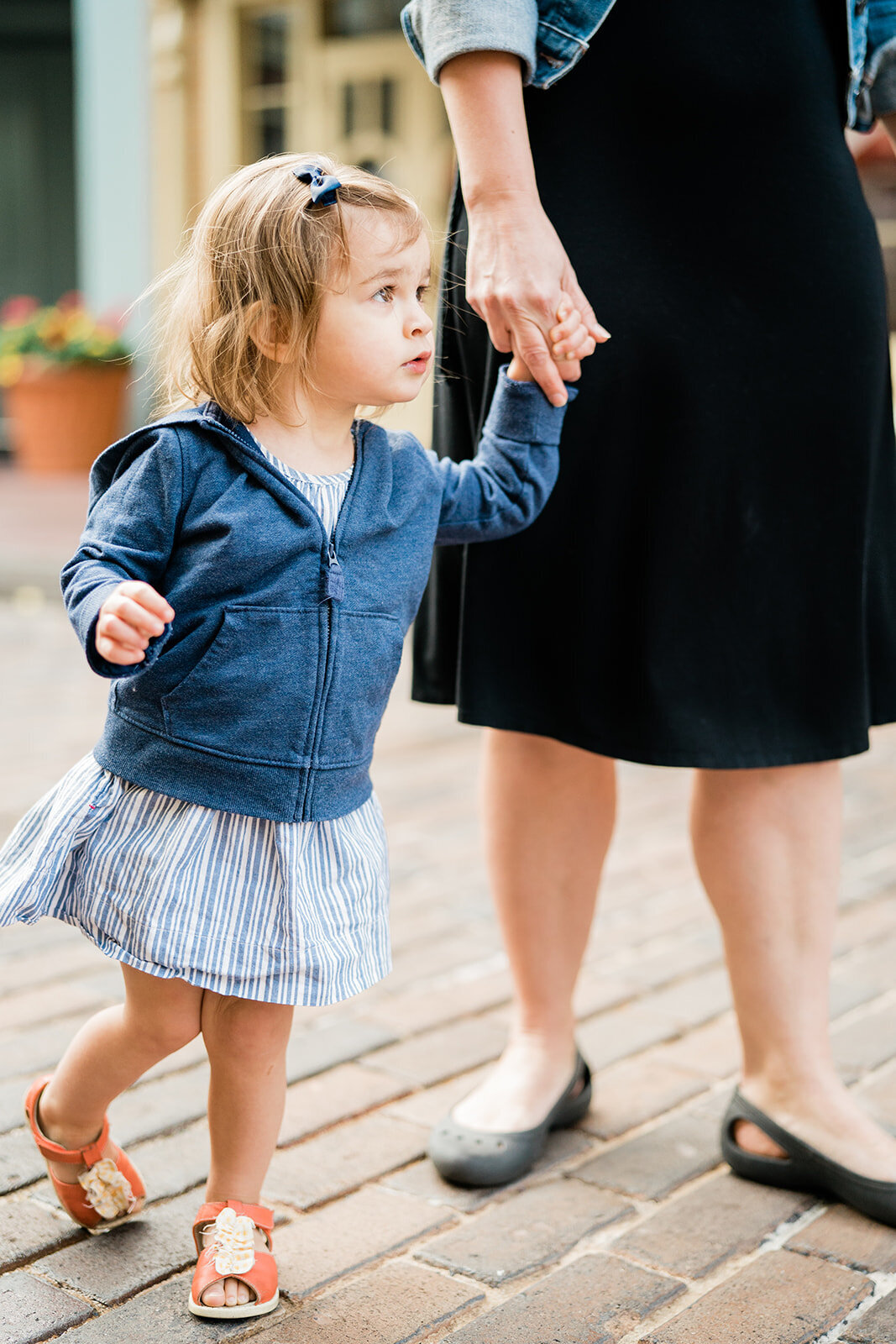 Disney Family Photos046