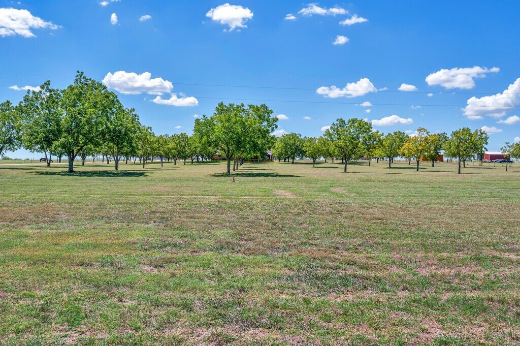 Beautiful view of the pecan grove orchard at this three-bedroom, two-bathroom vacation rental home with hot tub, firepit, and free WiFi just minutes from Lake Waco.