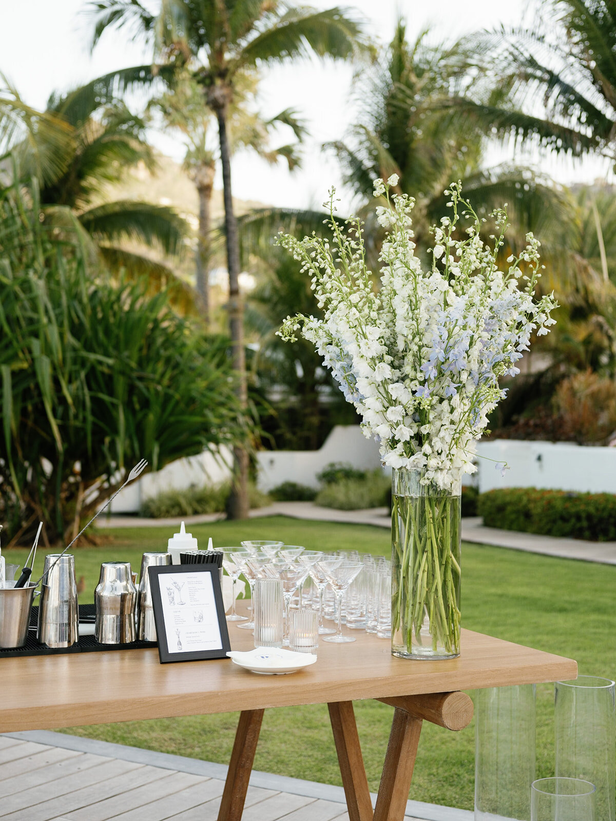 0003-Peter&Ray-StBarth-Wedding-May6th2023-(c)TisaSencur