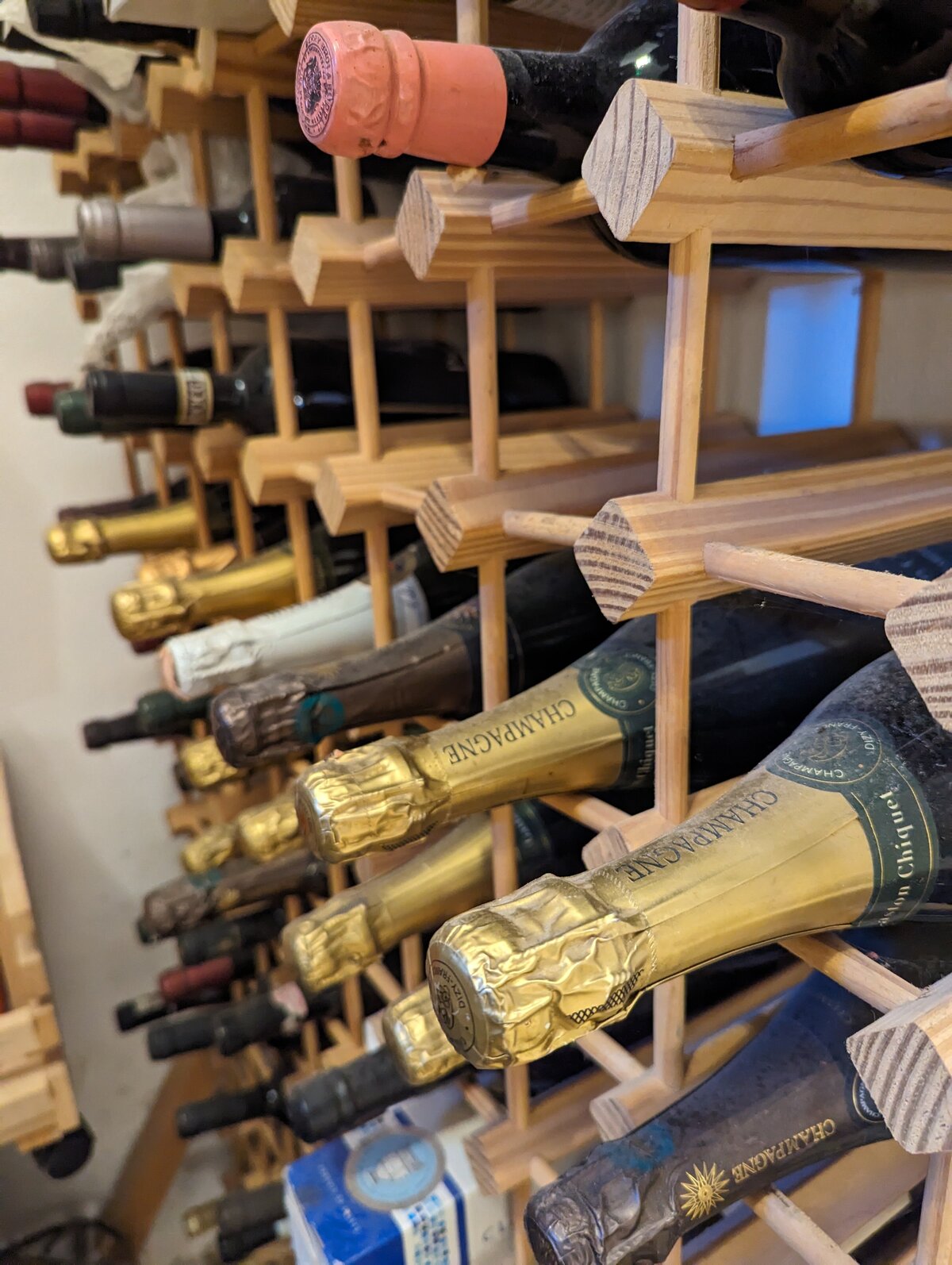 PXL_20231029_091938787