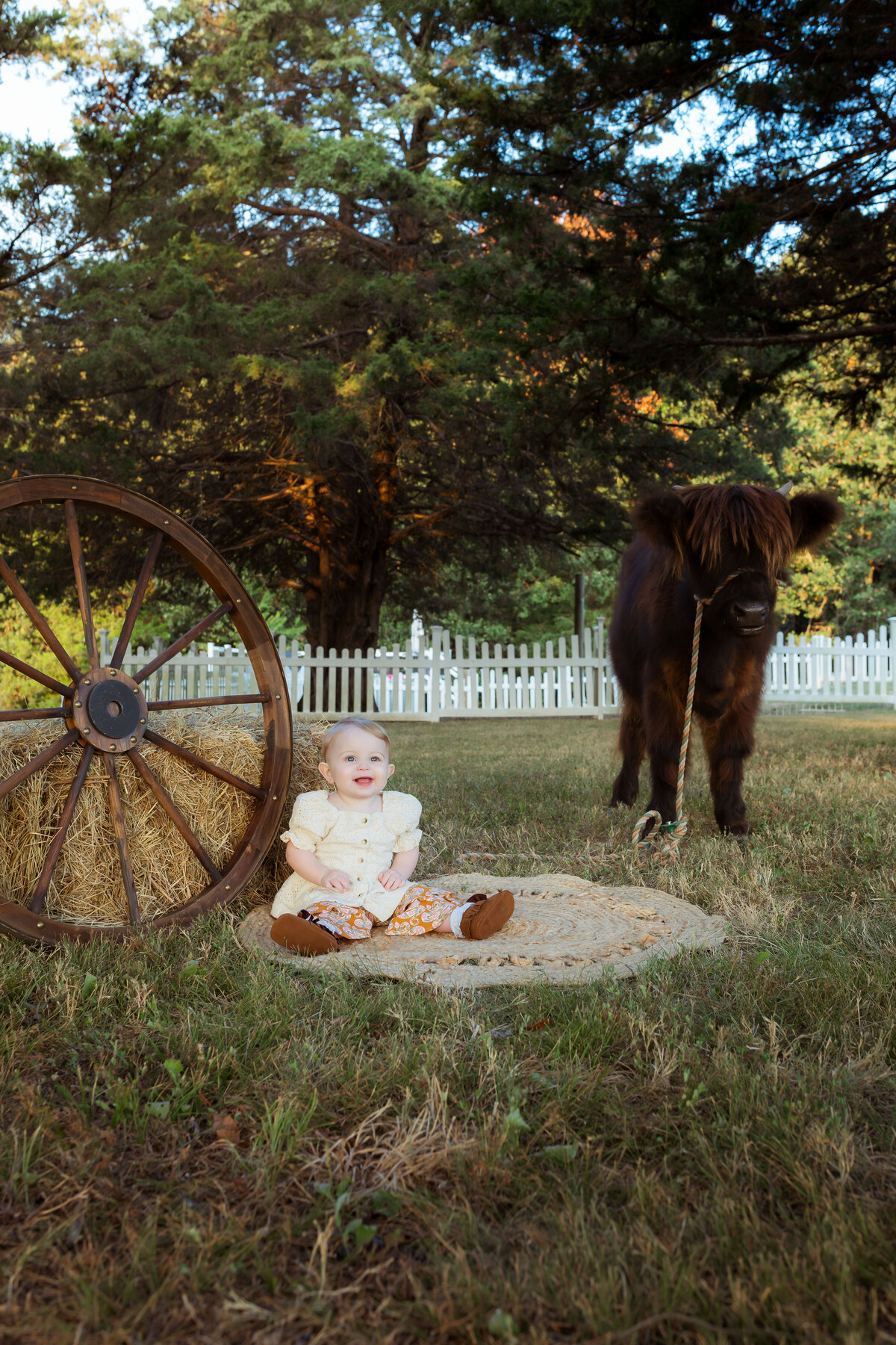 One-year-old girl celebrating her first birthday with a Highland cow during an outdoor photo session.