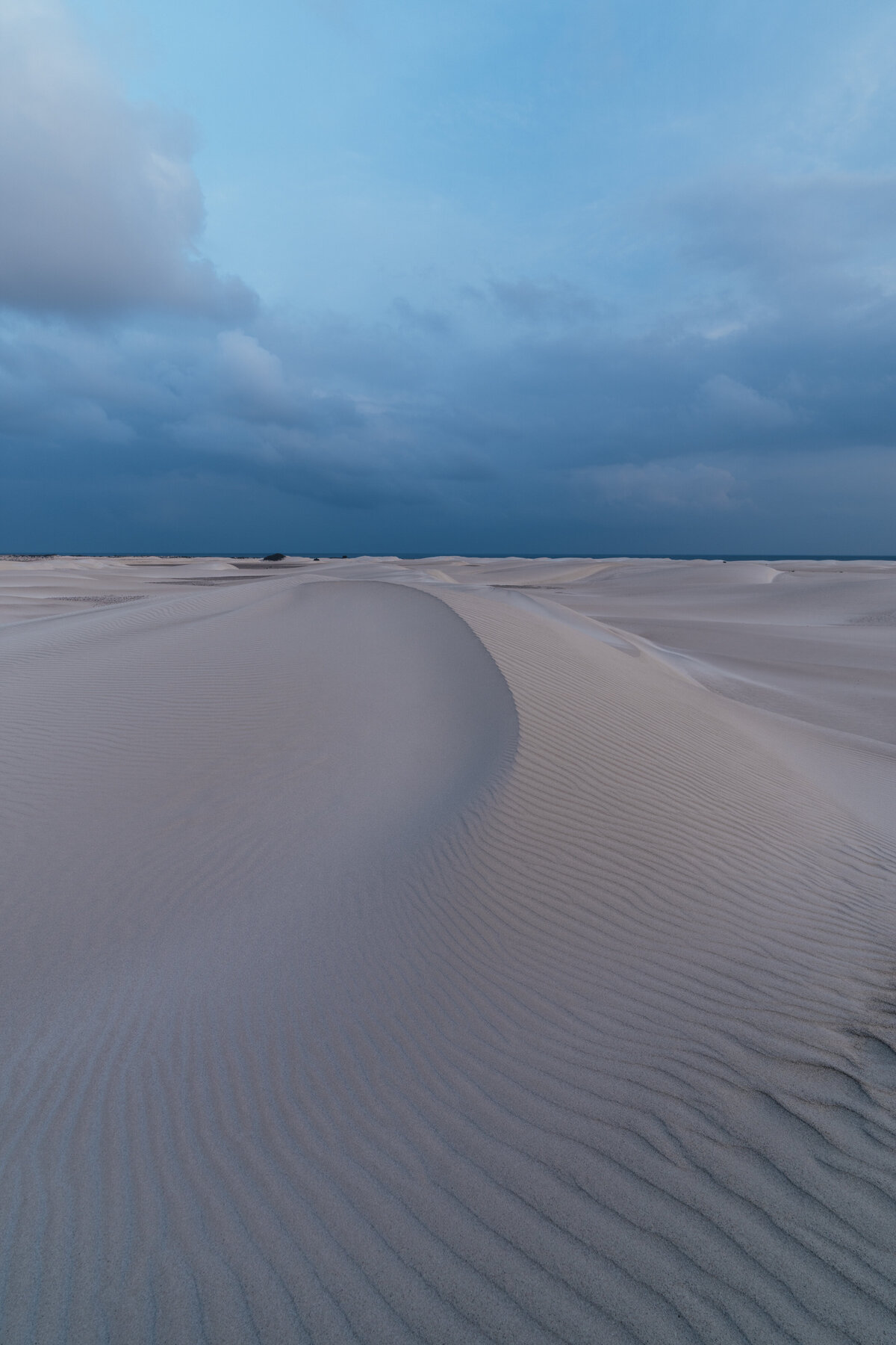 SOCOTRA-Blue Hour Dunes