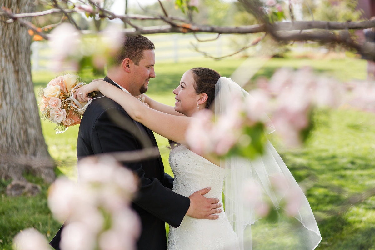 wedding with cherry blossoms barn raccoon creek