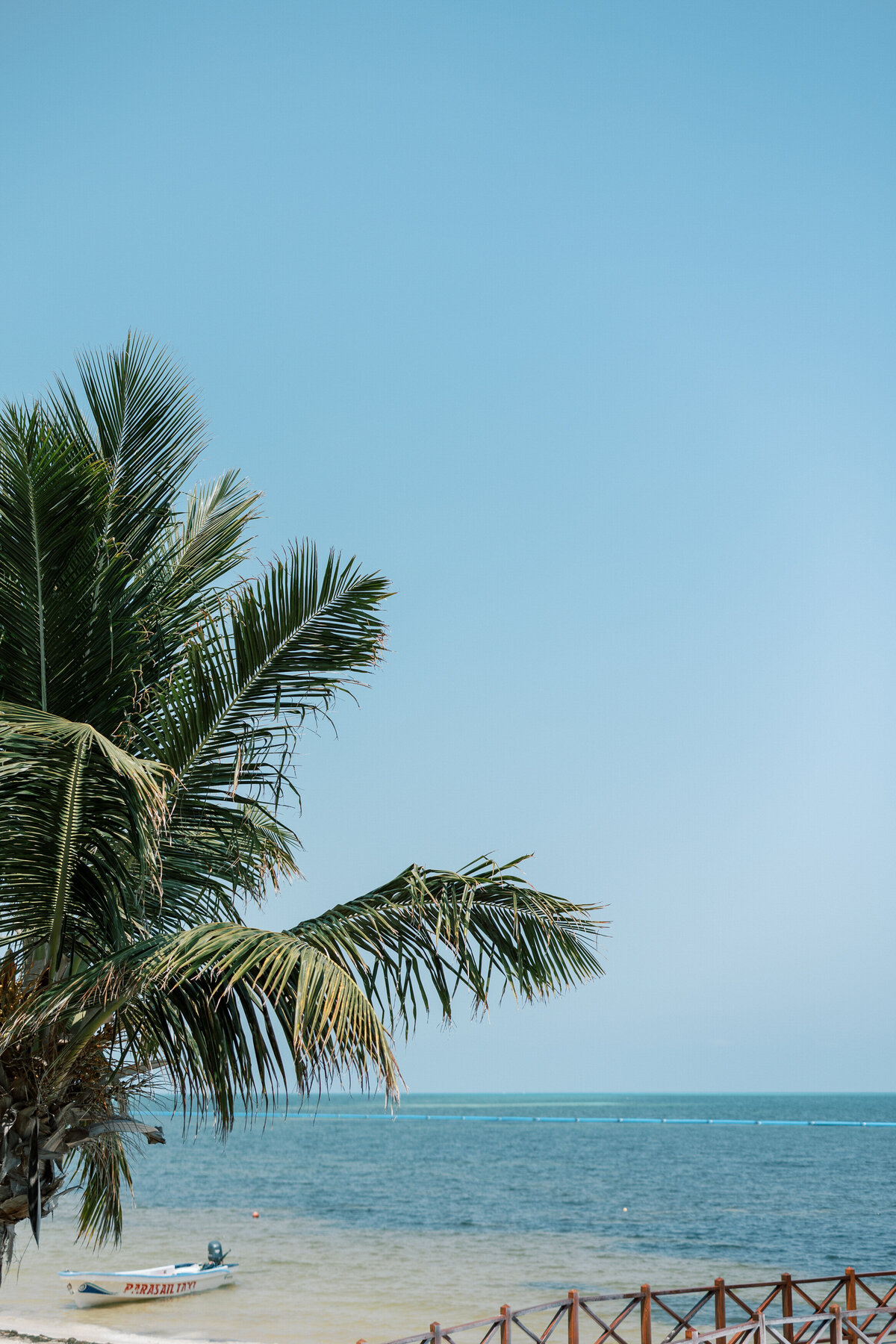 Palm trees over turquoise water with a parasailing boat, photographed in Cancun by a Philly-based wedding photographer.