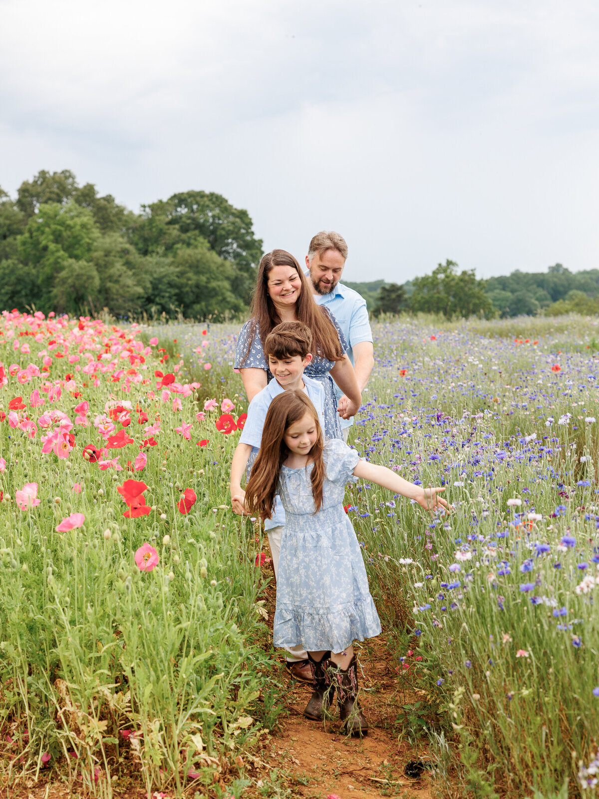 Wildflower Lilli_Web Size-2