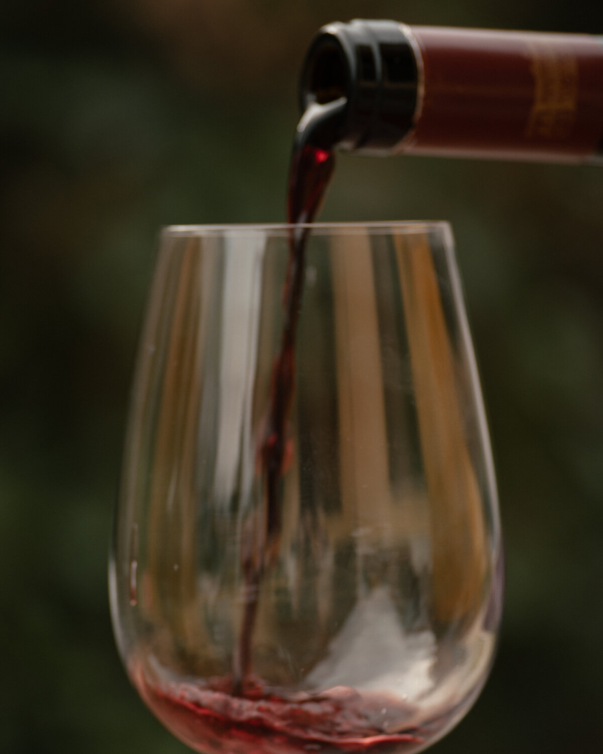 24Nov2025_BoccaDiLupo-42