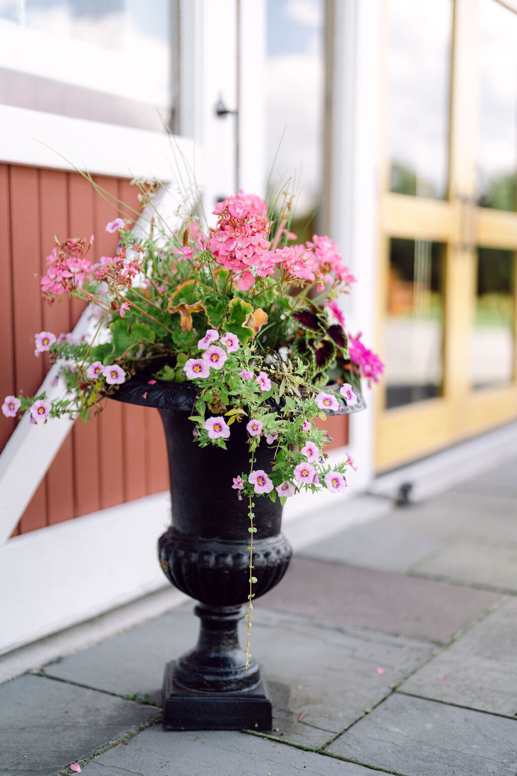 black-planter-with-flowers