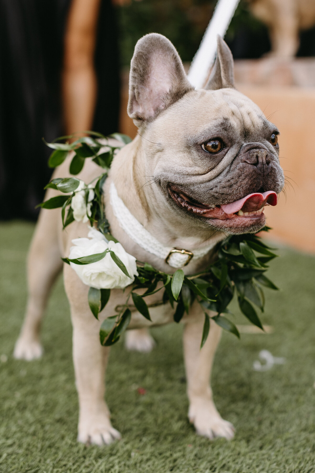 GuzmanWedding-2024-3025