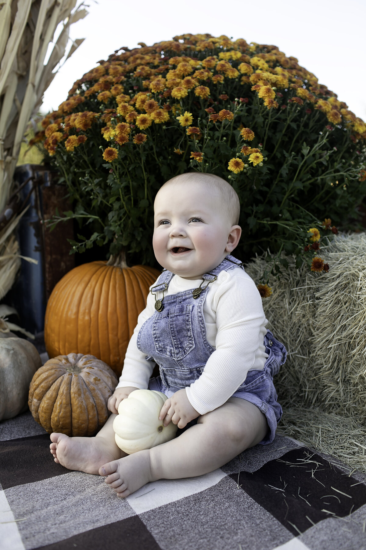 Fort Worth Child Photographer-1V5A4275-Edit