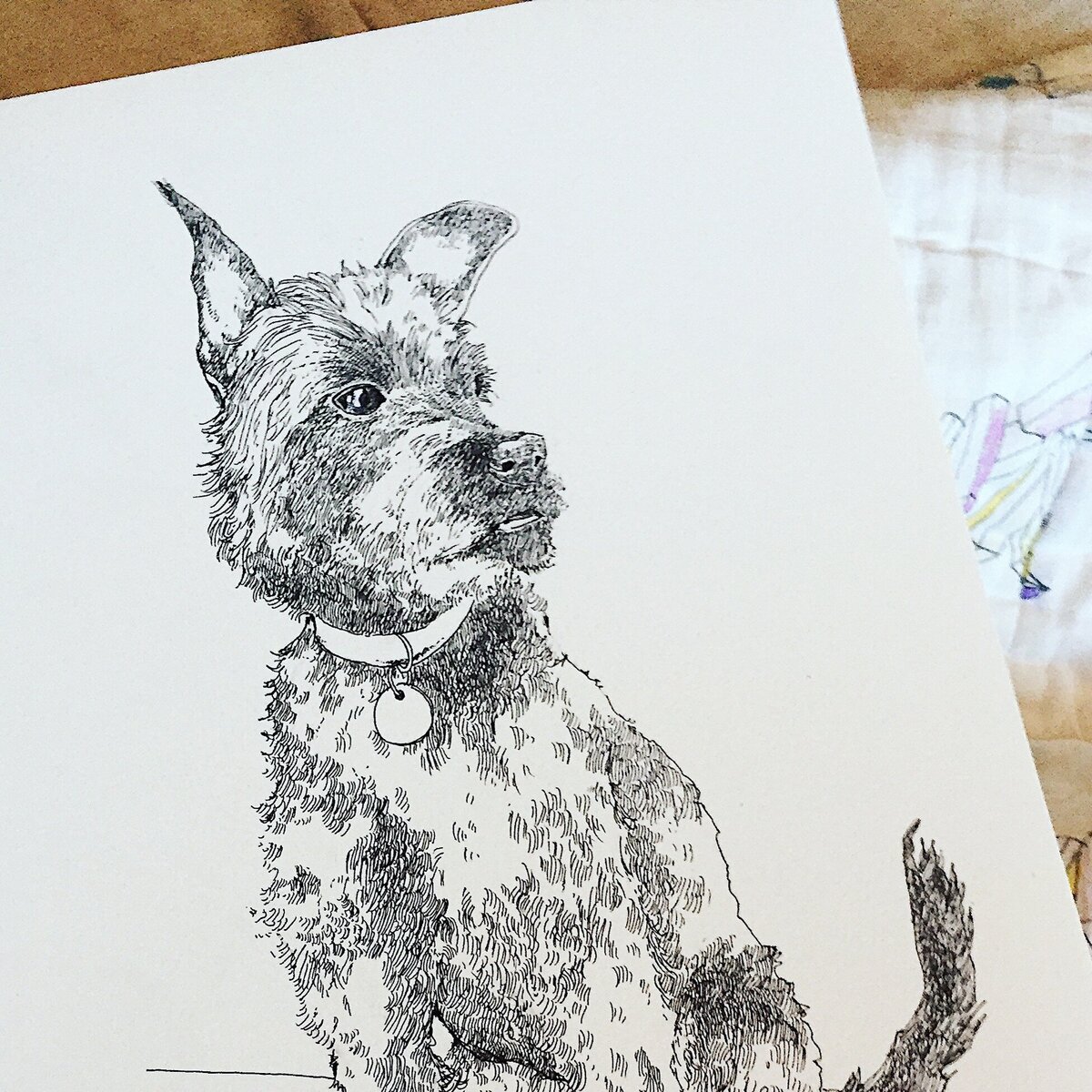 Custom Pet Portraits | Esmé Weijun Wang