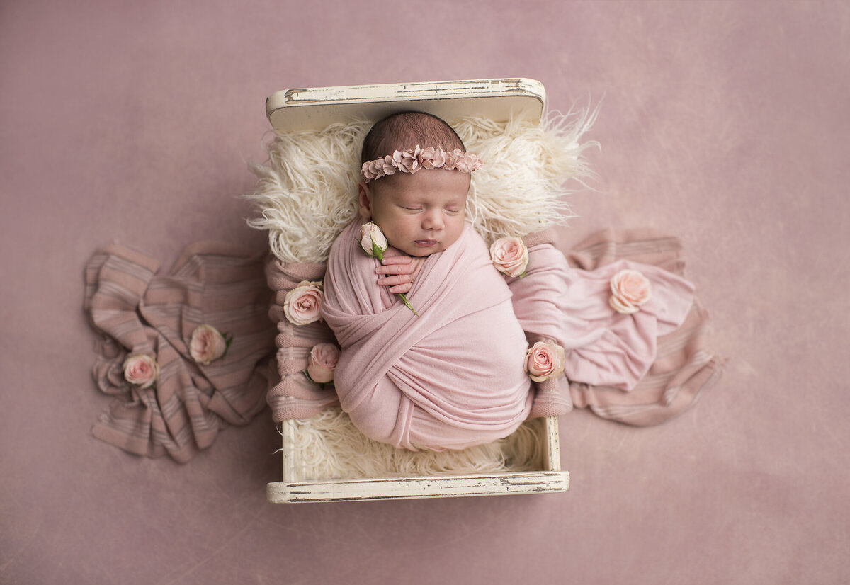 girl newborn with pink around them in the backdrop and blanket wrapping them