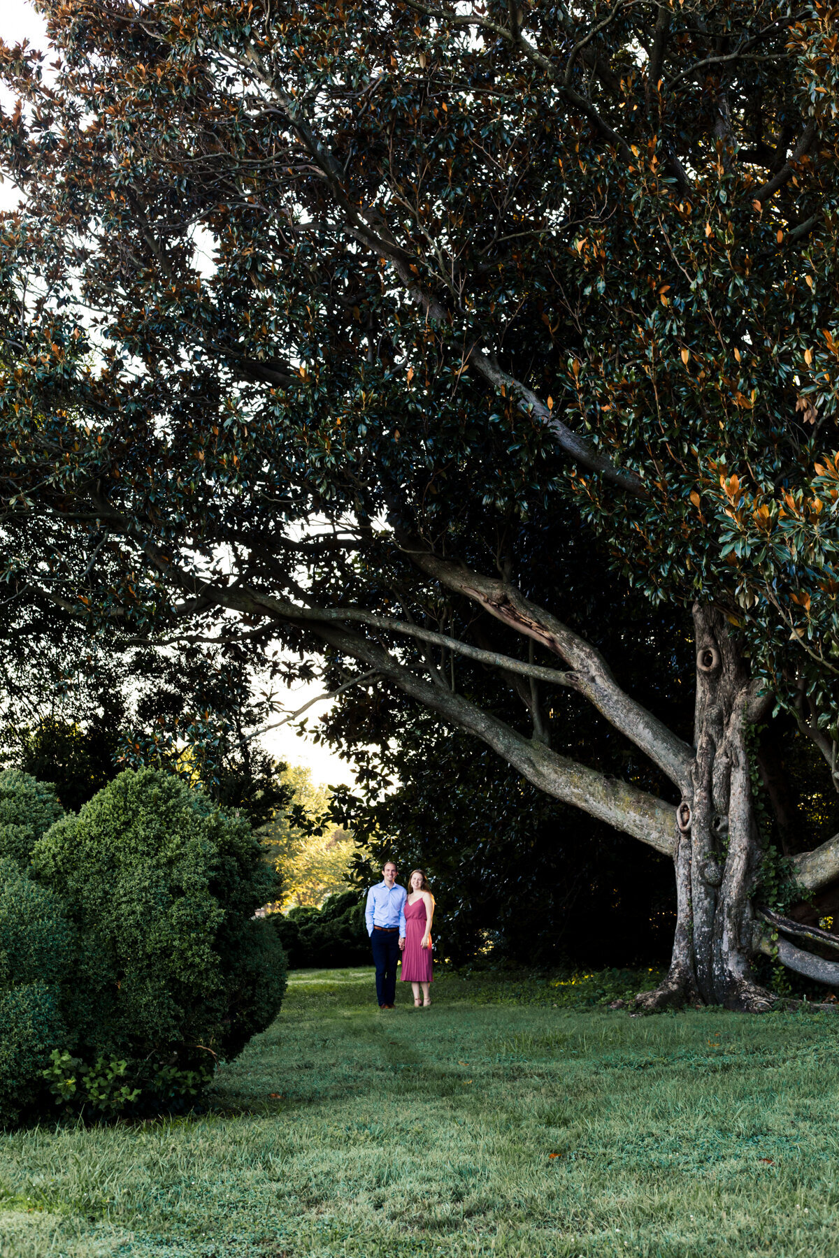 relaxed and fun wedding and engagement photography in northern virginia