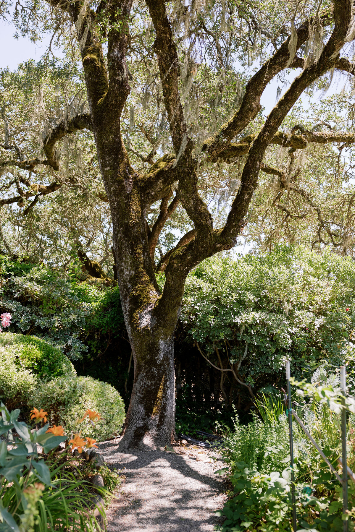 NatalieMax-Wedding-crystalkphotos-4
