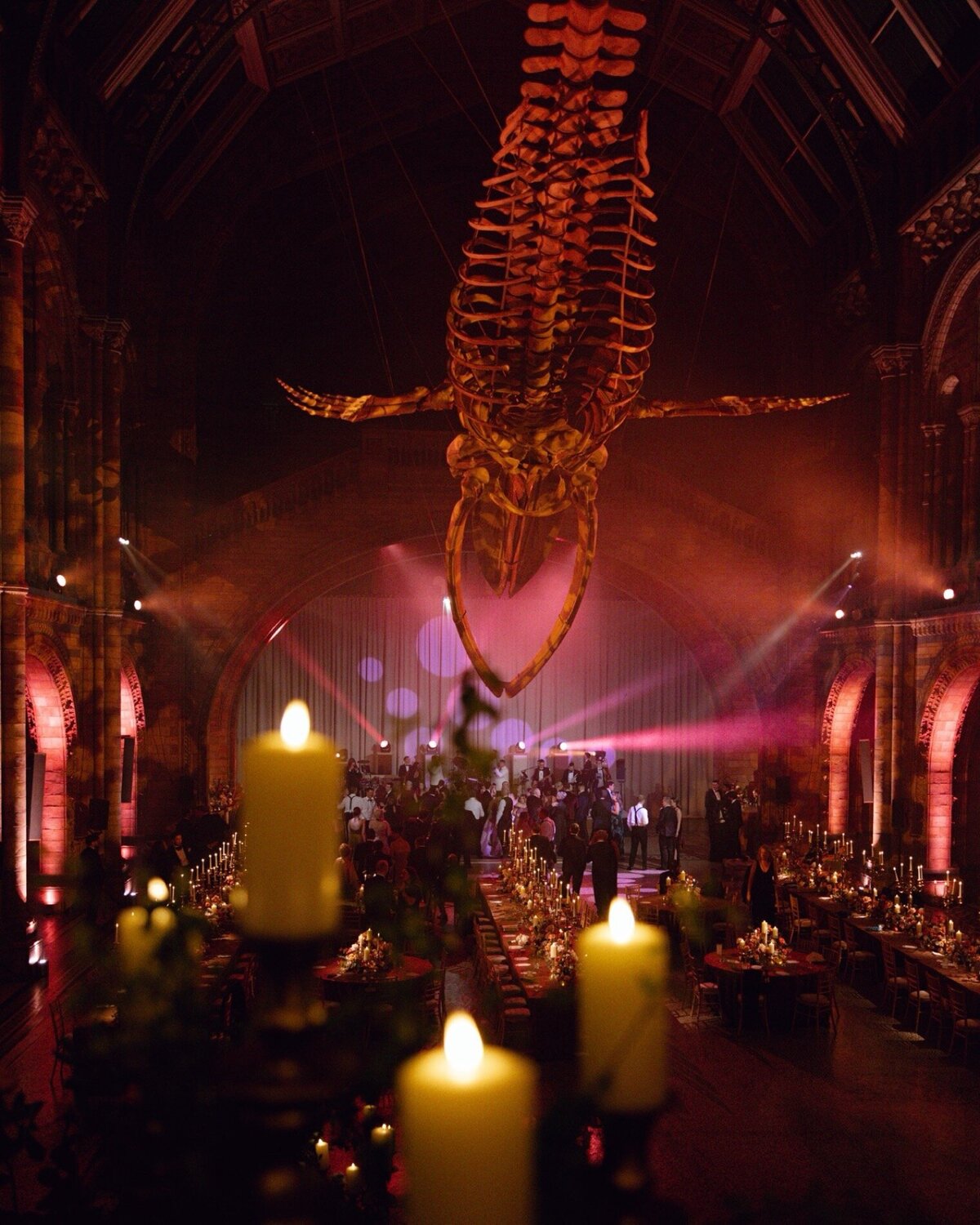 natural-history-museum-london-wedding-54