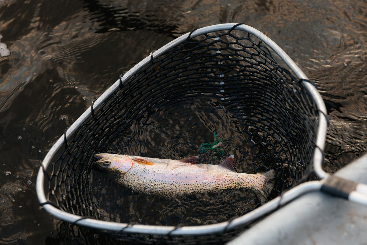 IWO - FISHING-97