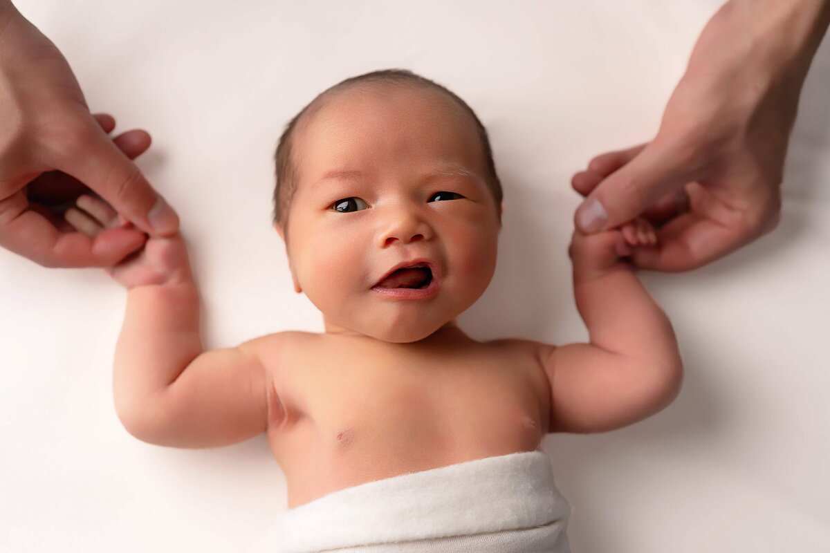 newborn photographer Chicago