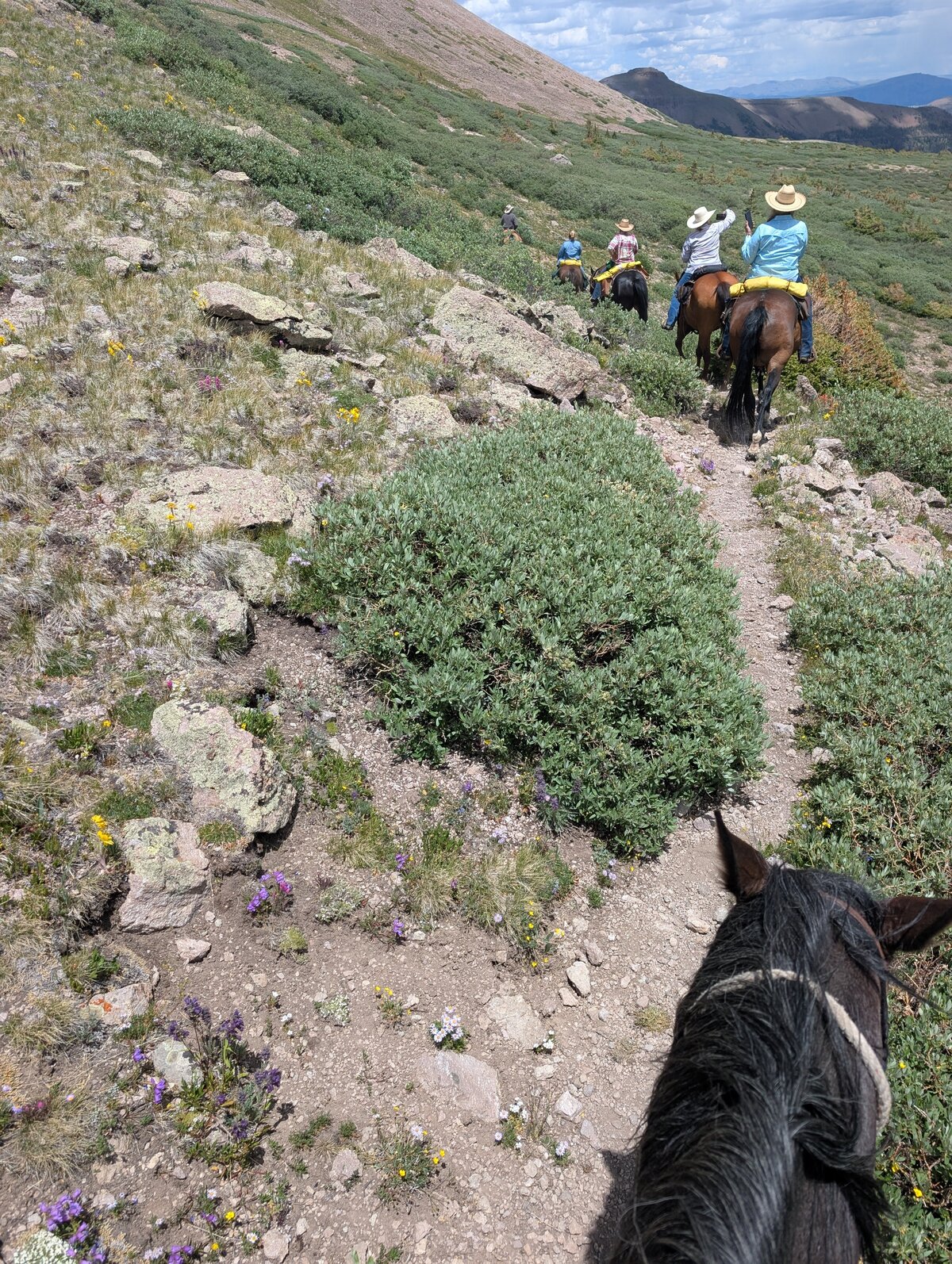 PXL_20250710_194842818.RAW-01.MP.COVER