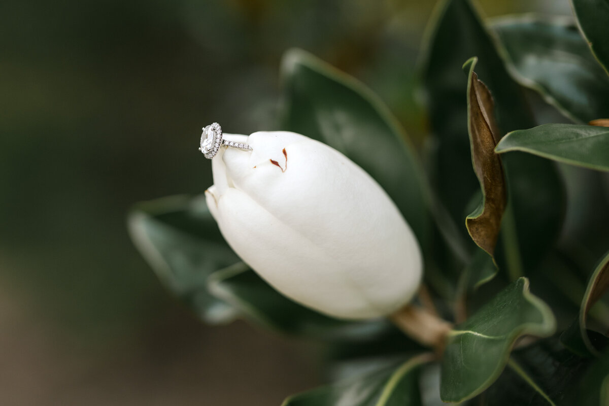 April Stanley Photography-27