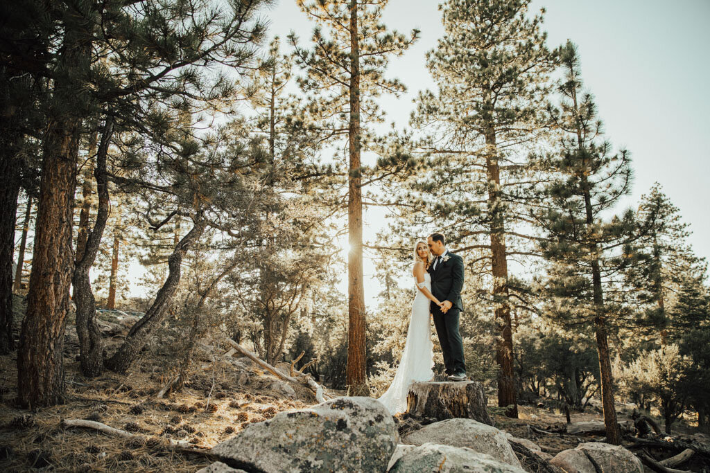 Riley and David_forest wedding