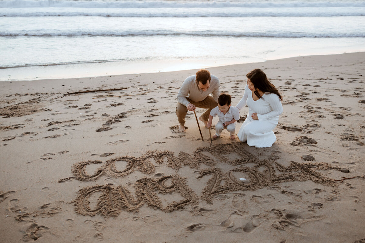 la family photographer 74