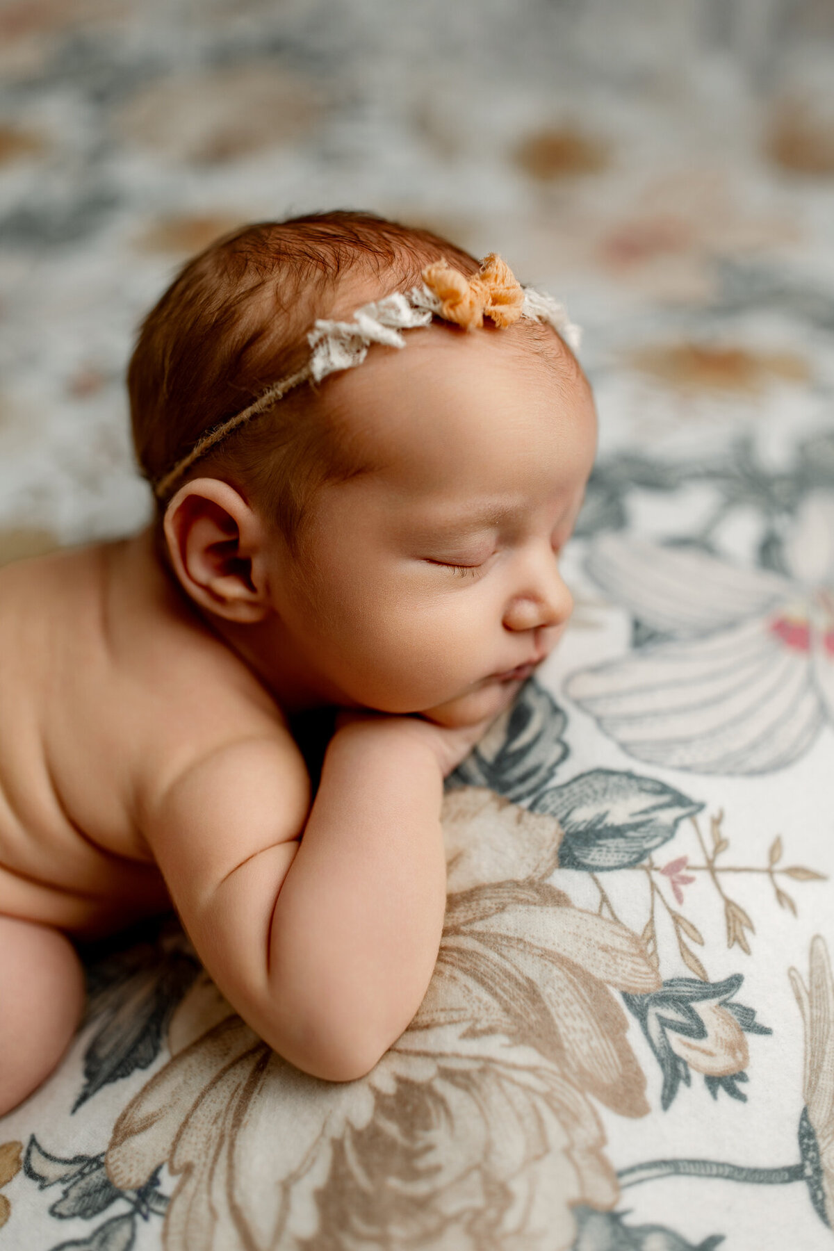 NW Arkansas family photographer, family portraits near me Northwest Arkansas, NWA newborn photography, maternity portrait studio NW Arkansas
