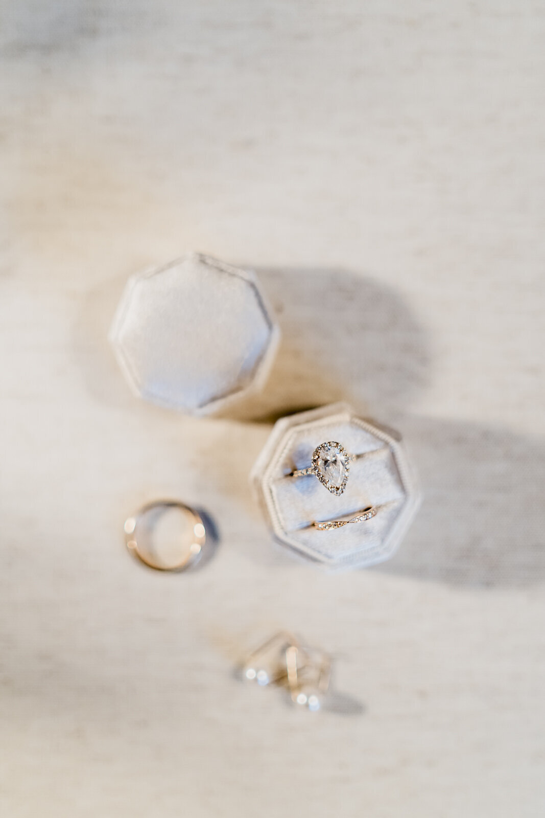 A MODERN ROMANTIC CLASSIC BLACK TIE PLANTERRA CONSERVATORY LUXURY WEDDING IN WEST BLOOMFIELD MICHIGAN BY KARI DAWSON102