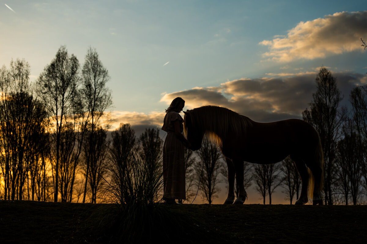 Vrouw met paard in Silhouette foto met bewerking