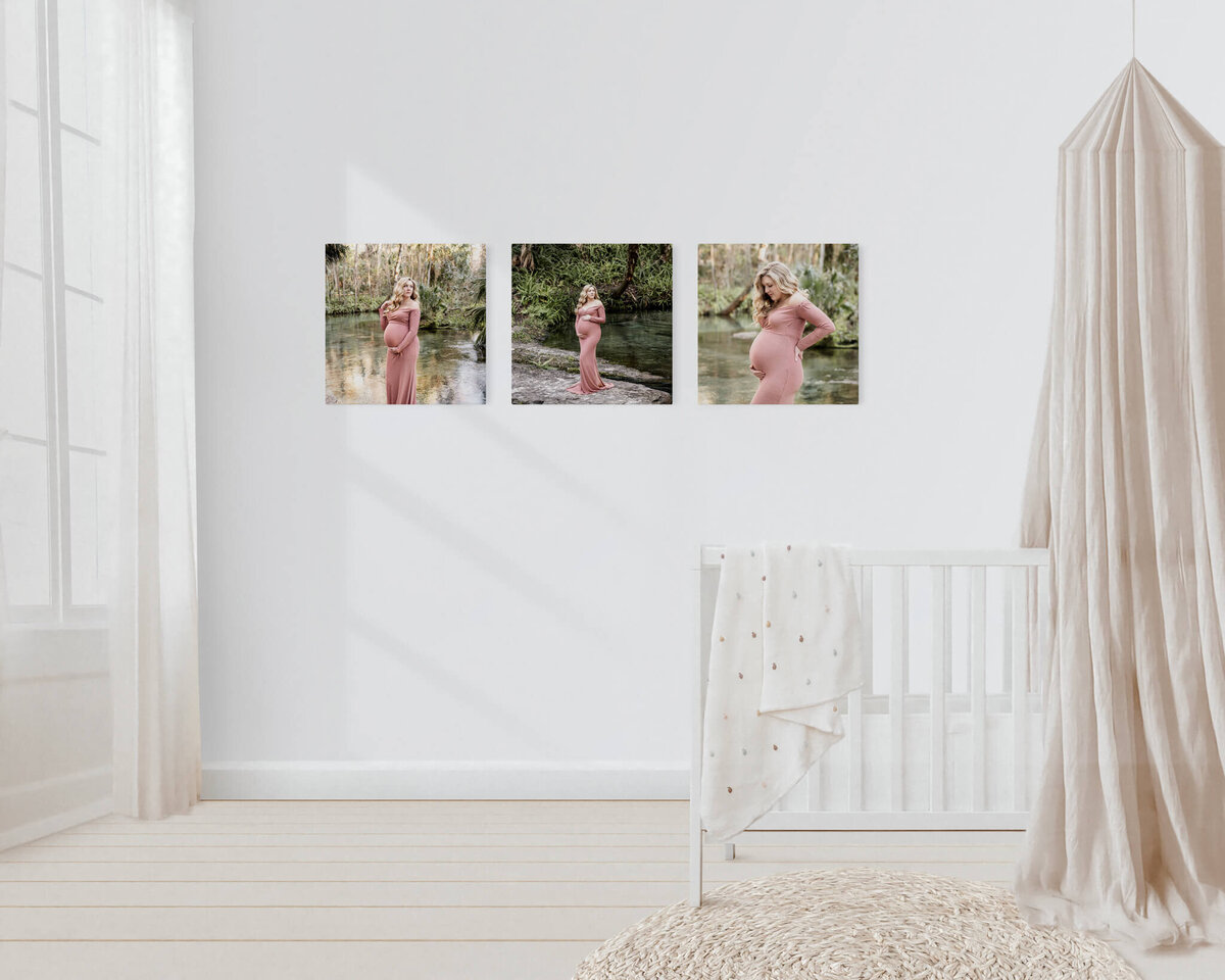 winston-salem-photographer-maternity-artwork-haleigh-nicole-photography-560