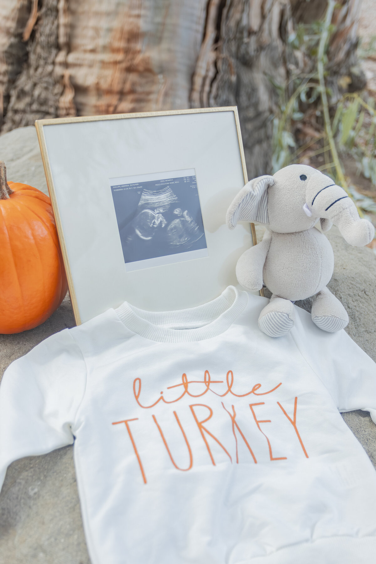Amanda+Steven-Materinty-130