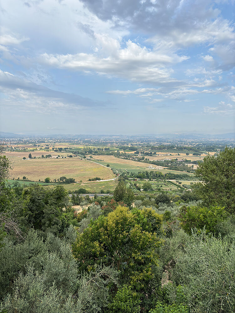 IMG_2849 2