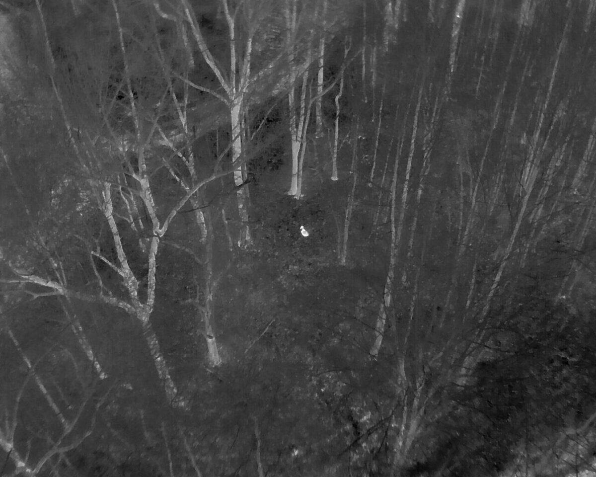 DJI_20250101222118_0001_T