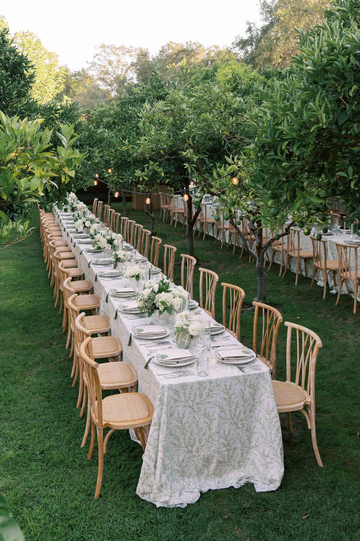 1WILLOWAND-BEN-WEDDING-PHOTOGRAPHER-NAPA-81