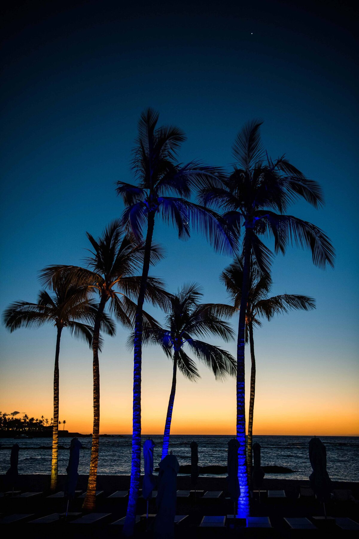A sunset with Palm trees shot against a colorful sky at the resort