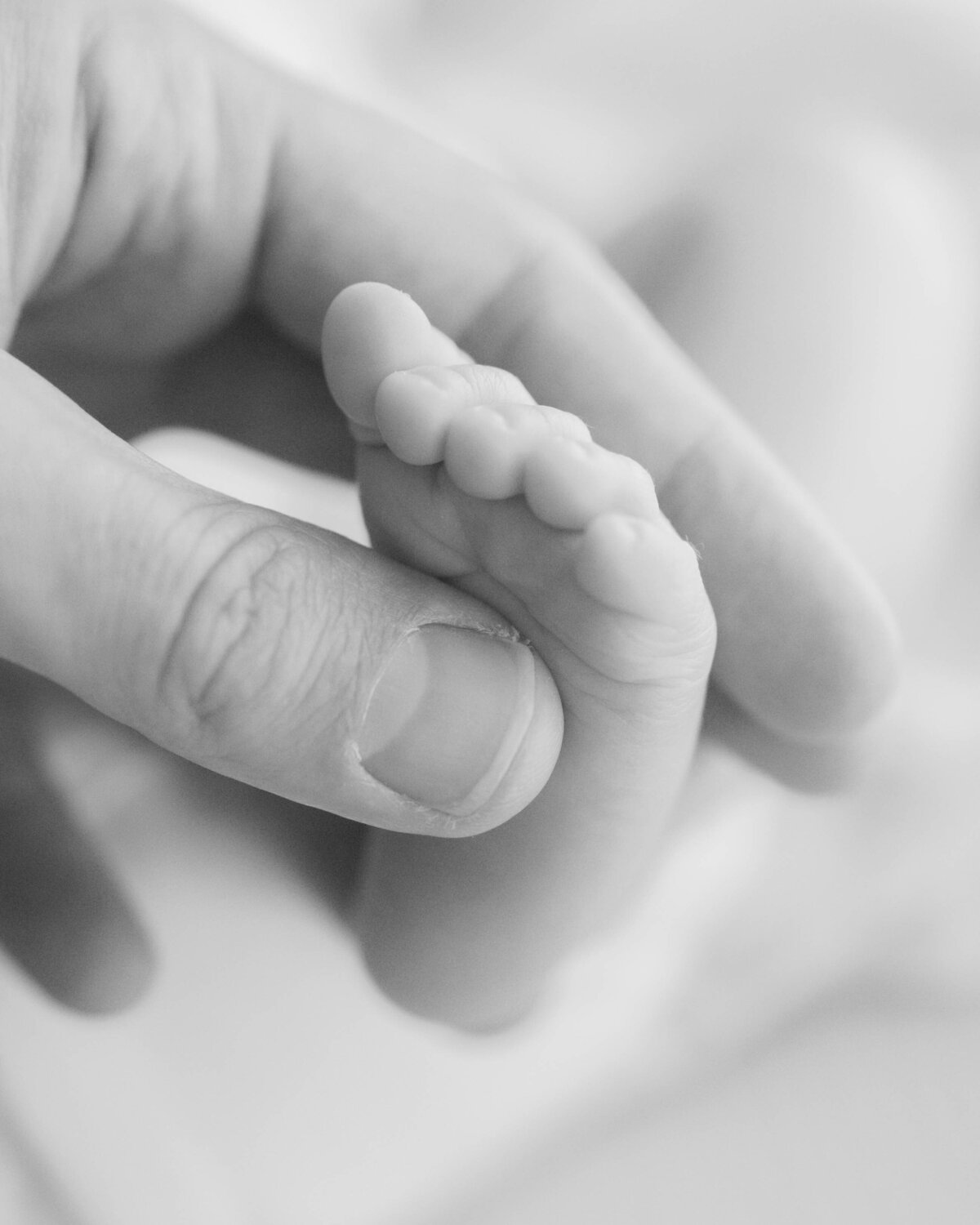Light-filled lifestyle newborn session captured by a Salt Lake City newborn photographer.