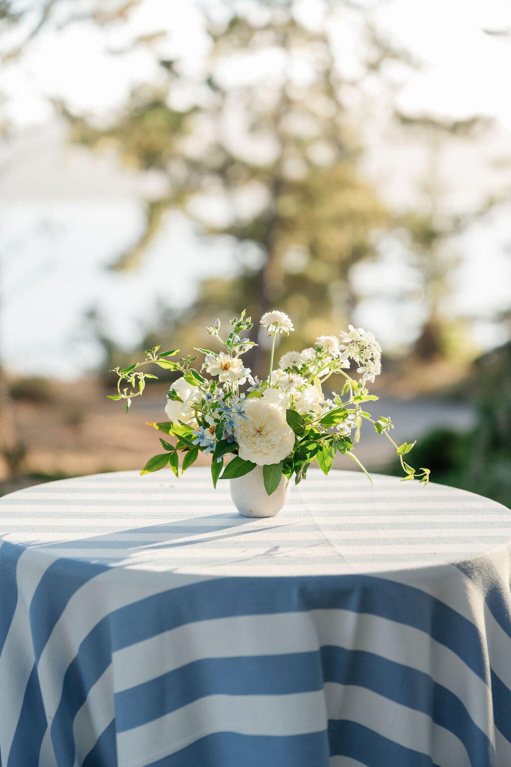 Trinity-Will-Previews-33