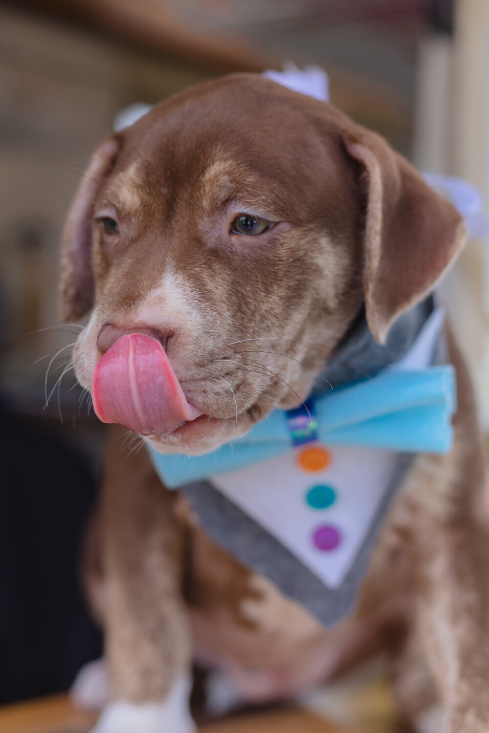 alt Photography - Style Shoot 8.18.20 ice cream birthday party - the west events-97-web