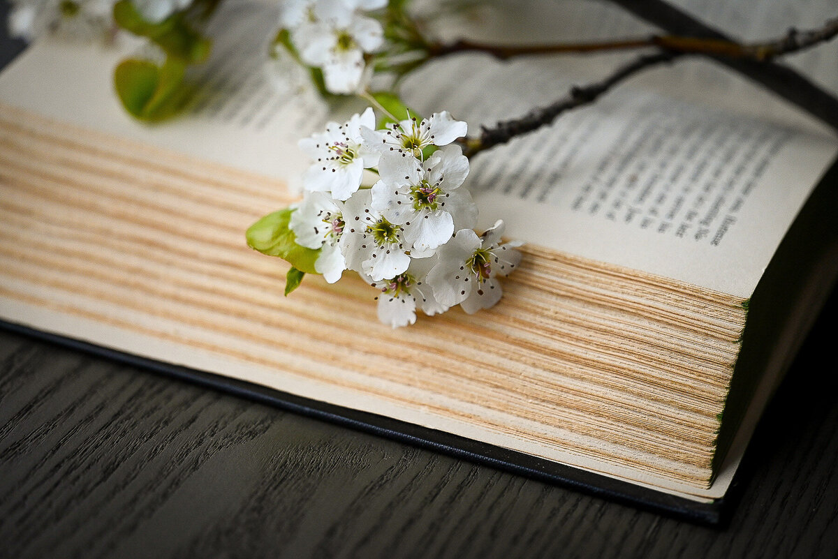 5 - JJ-Spring-5