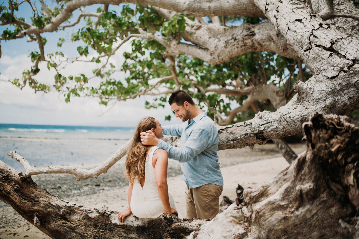 couple sitting on a tree on a beach