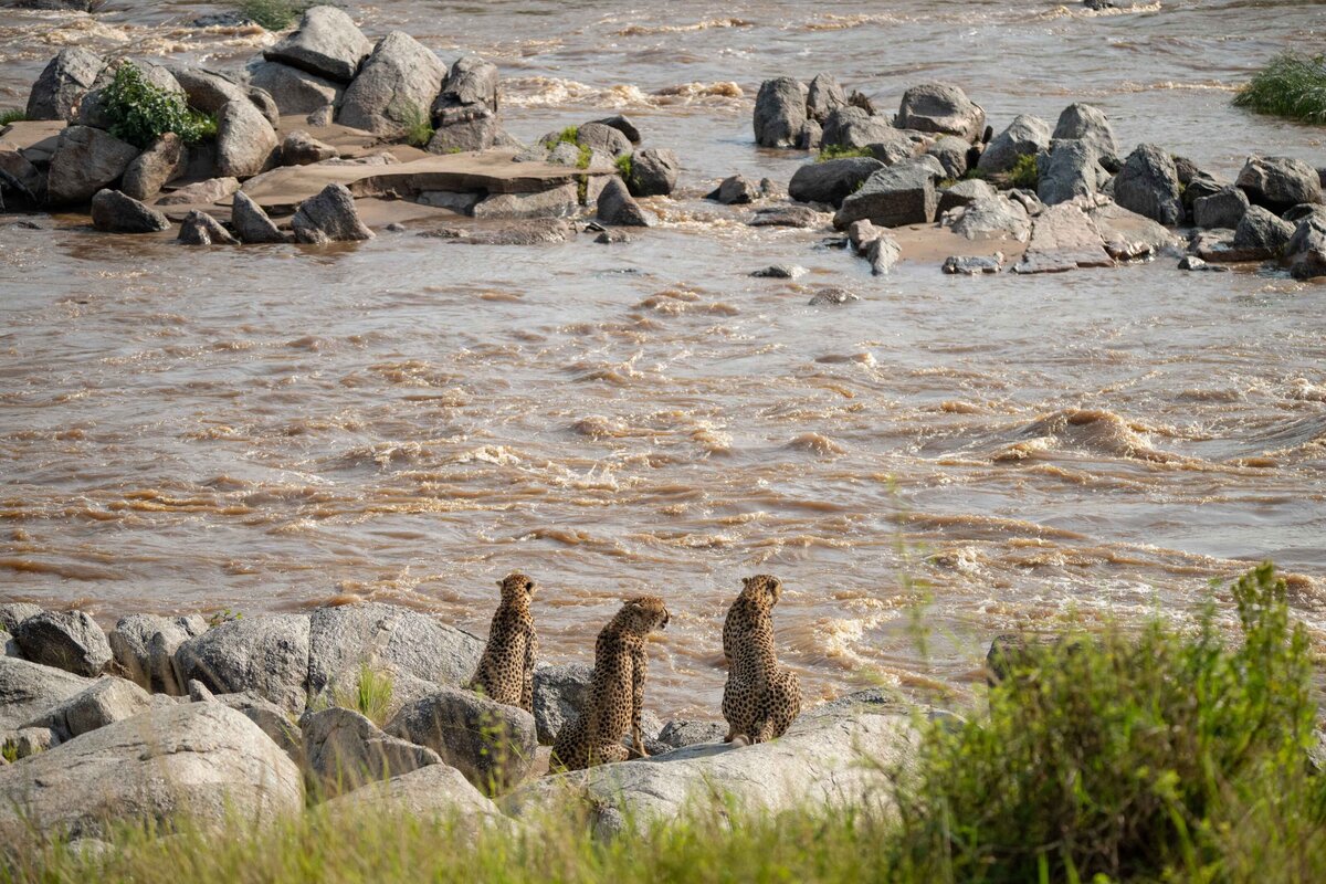 TAASA Safari (16)