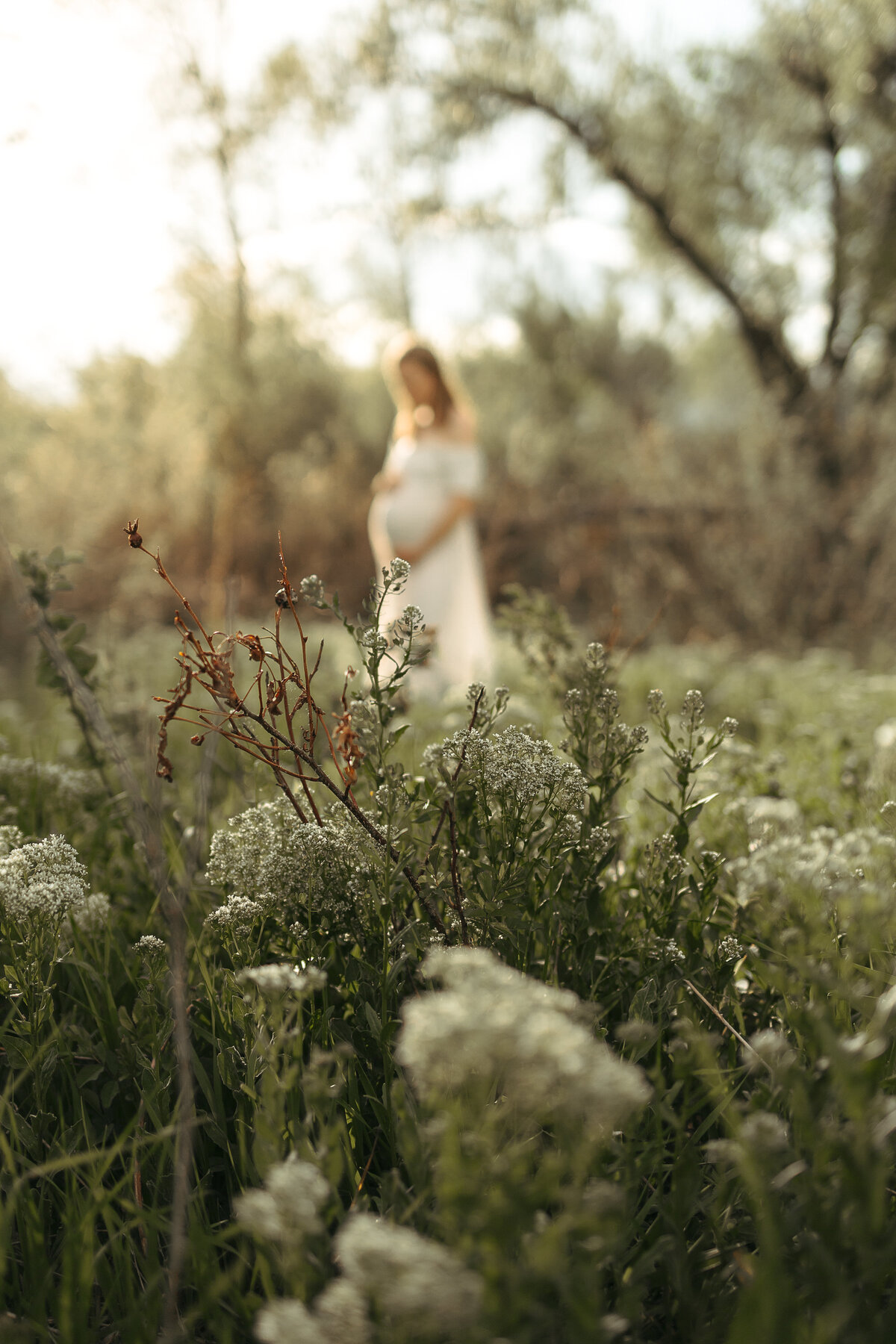 beautiful image of expectant mom looking down at belly while the flowers closest to the camera are in focus and mom is standing off in the distance and is blurry