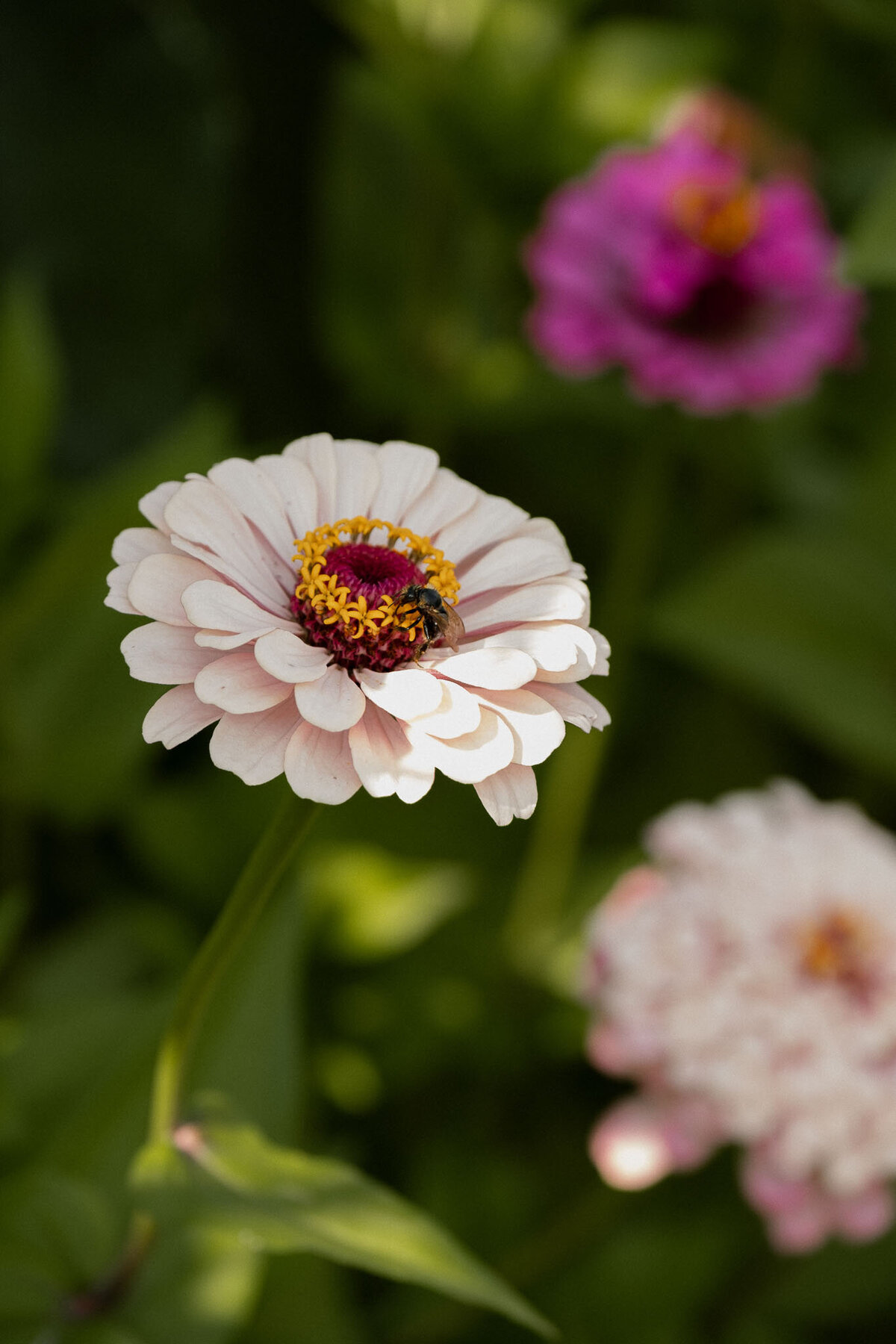 Beryl-van-der-Mossel-Fotografie-159