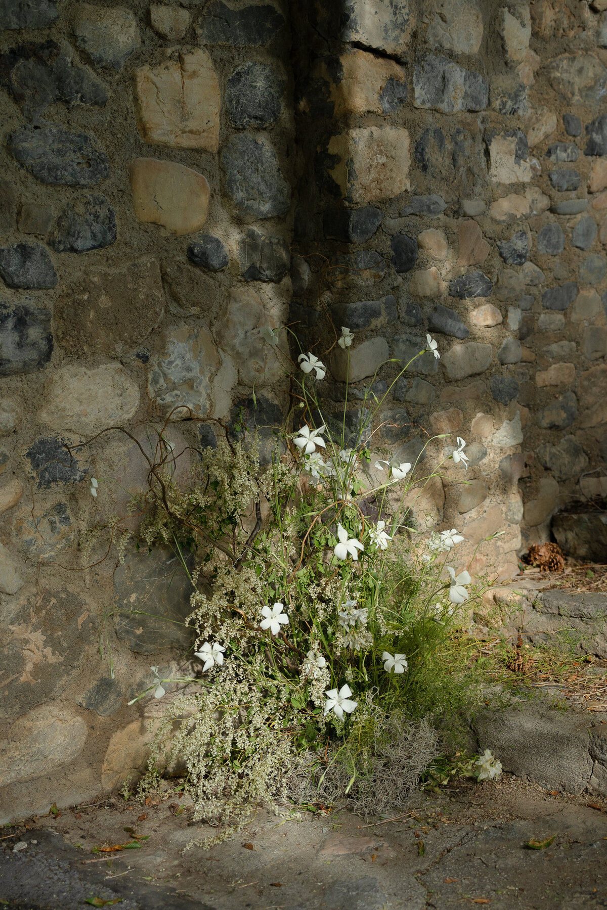 CastlecoreEditorial-124